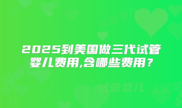 2025到美国做三代试管婴儿费用,含哪些费用？