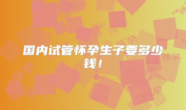 国内试管怀孕生子要多少钱!