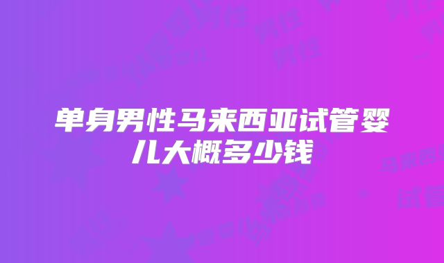 单身男性马来西亚试管婴儿大概多少钱