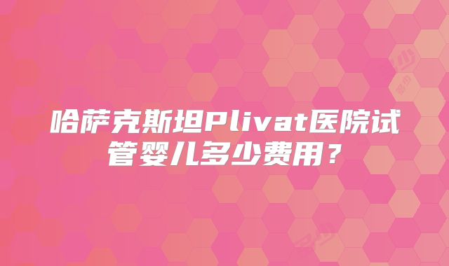 哈萨克斯坦Plivat医院试管婴儿多少费用？