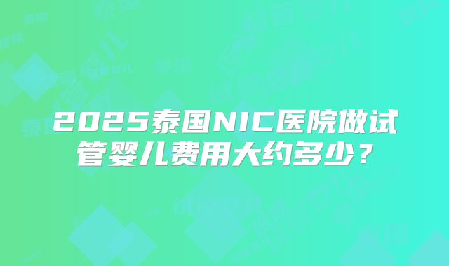 2025泰国NIC医院做试管婴儿费用大约多少?