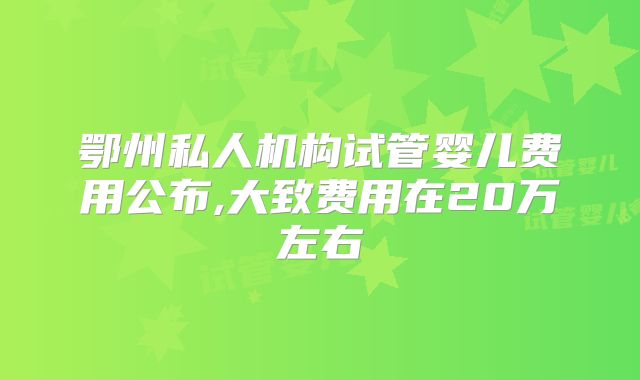 鄂州私人机构试管婴儿费用公布,大致费用在20万左右