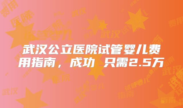 武汉公立医院试管婴儿费用指南，成功 只需2.5万