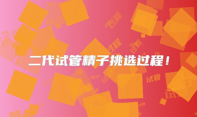 二代试管精子挑选过程!