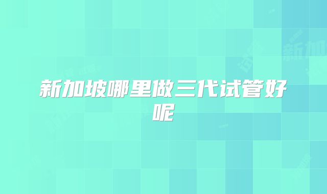 新加坡哪里做三代试管好呢