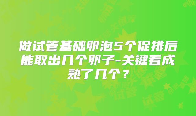 做试管基础卵泡5个促排后能取出几个卵子-关键看成熟了几个？
