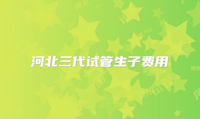 河北三代试管生子费用