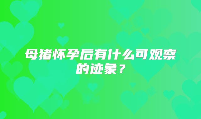 母猪怀孕后有什么可观察的迹象？