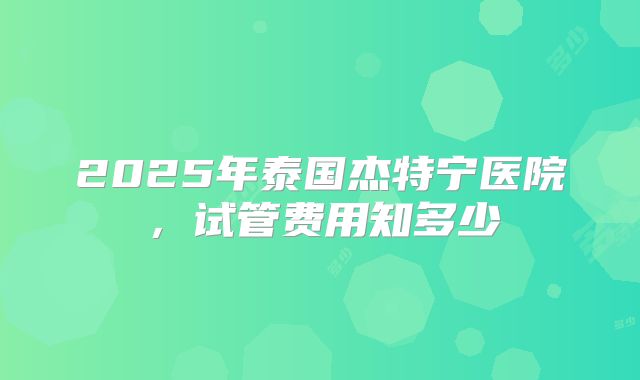 2025年泰国杰特宁医院，试管费用知多少
