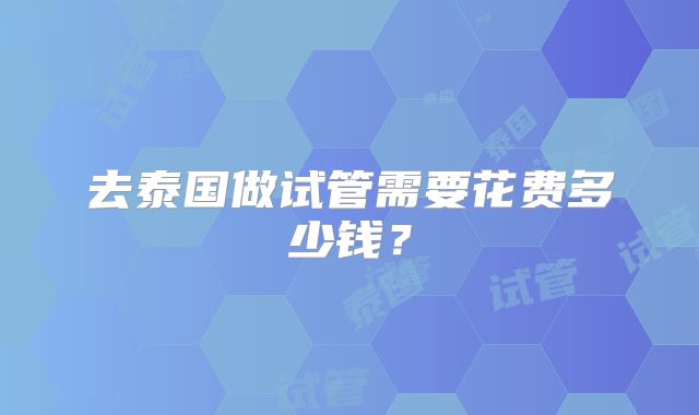 去泰国做试管需要花费多少钱?