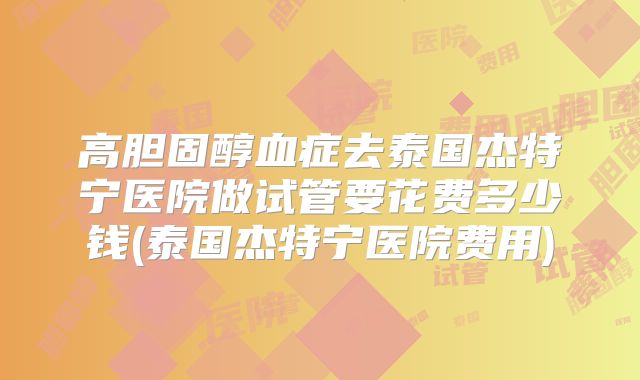 高胆固醇血症去泰国杰特宁医院做试管要花费多少钱(泰国杰特宁医院费用)
