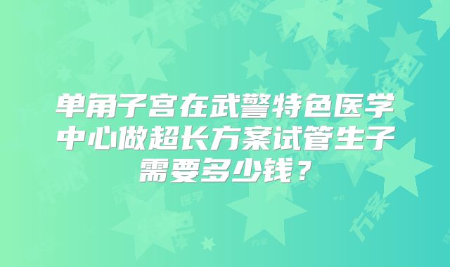 单角子宫在武警特色医学中心做超长方案试管生子需要多少钱？