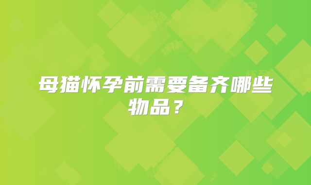 母猫怀孕前需要备齐哪些物品？