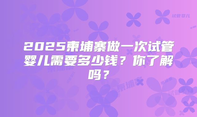 2025柬埔寨做一次试管婴儿需要多少钱?你了解吗?