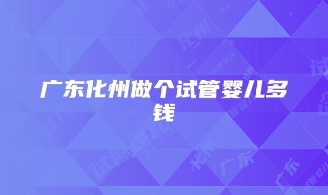广东化州做个试管婴儿多钱