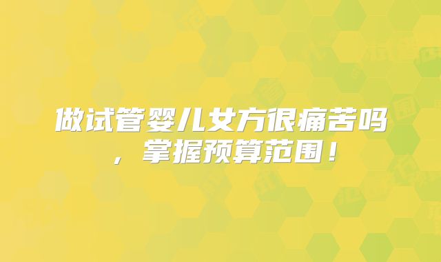做试管婴儿女方很痛苦吗，掌握预算范围！
