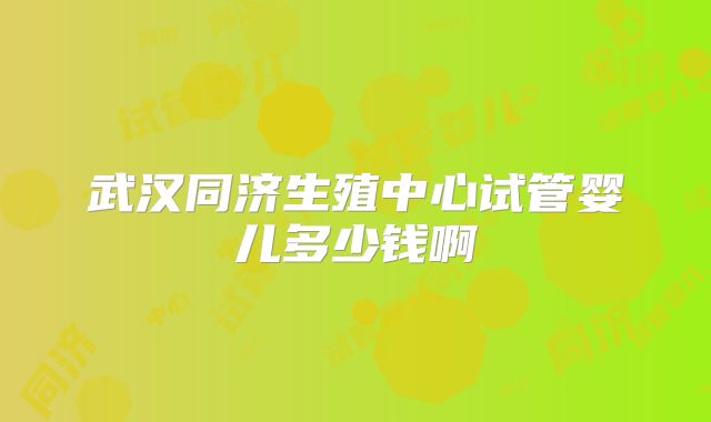 武汉同济生殖中心试管婴儿多少钱啊