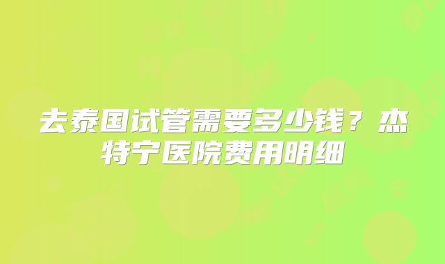 去泰国试管需要多少钱？杰特宁医院费用明细