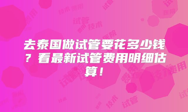 去泰国做试管要花多少钱？看最新试管费用明细估算！