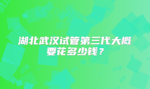 湖北武汉试管第三代大概要花多少钱?