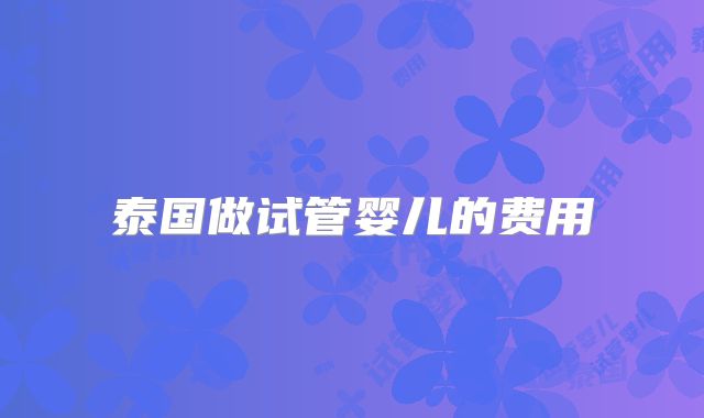 泰国做试管婴儿的费用