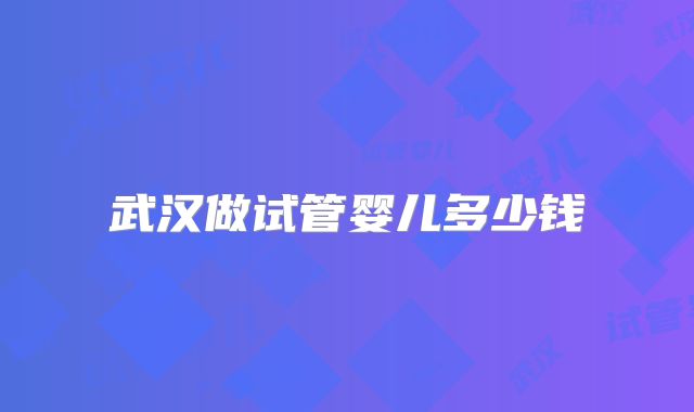 武汉做试管婴儿多少钱