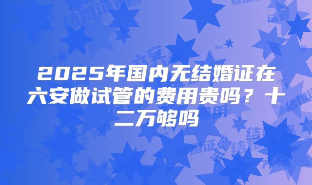 2025年国内无结婚证在六安做试管的费用贵吗?十二万够吗