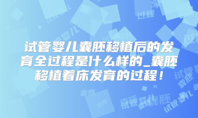 试管婴儿囊胚移植后的发育全过程是什么样的_囊胚移植着床发育的过程！