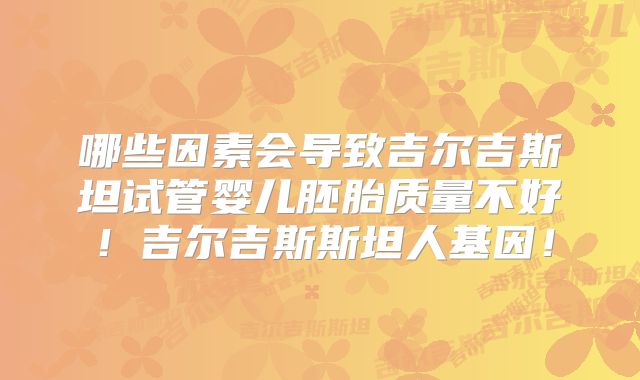 哪些因素会导致吉尔吉斯坦试管婴儿胚胎质量不好！吉尔吉斯斯坦人基因！