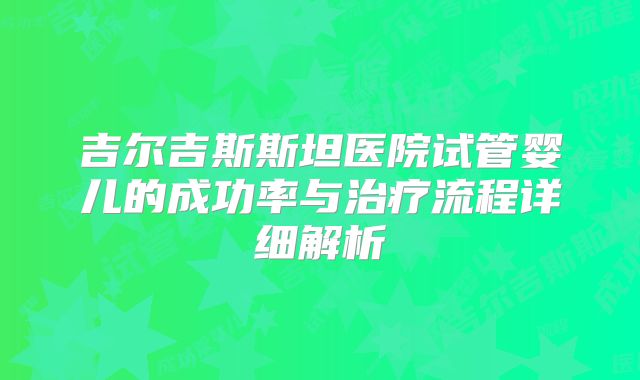 吉尔吉斯斯坦医院试管婴儿的成功率与治疗流程详细解析
