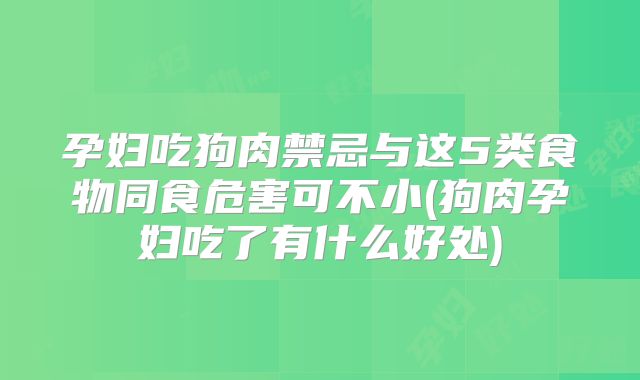 孕妇吃狗肉禁忌与这5类食物同食危害可不小(狗肉孕妇吃了有什么好处)