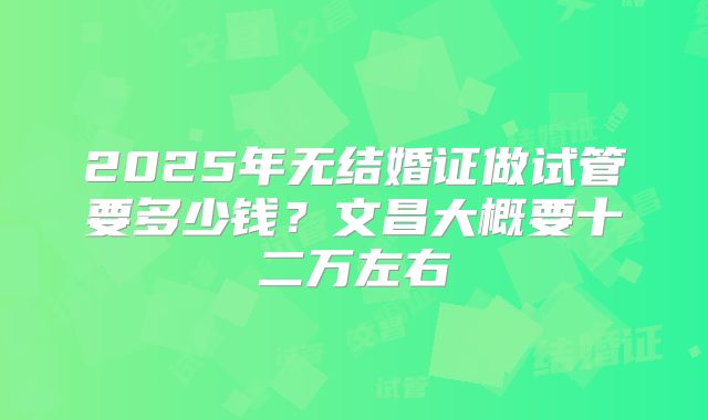 2025年无结婚证做试管要多少钱?文昌大概要十二万左右