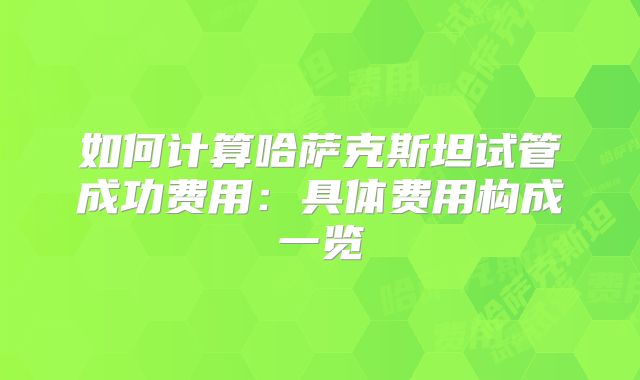 如何计算哈萨克斯坦试管成功费用:具体费用构成一览