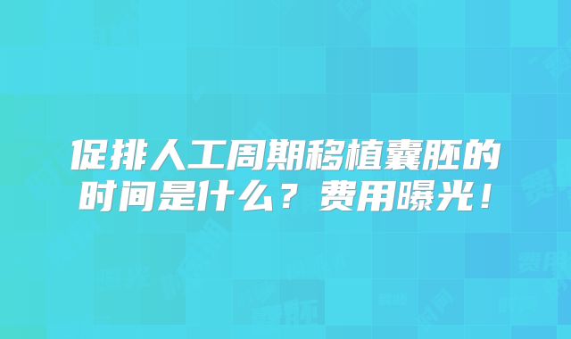 促排人工周期移植囊胚的时间是什么?费用曝光!