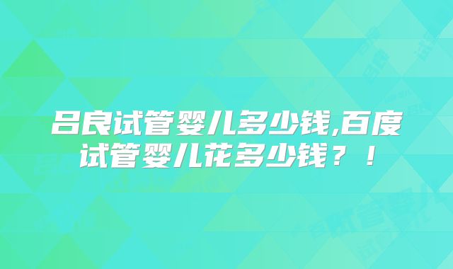 吕良试管婴儿多少钱,百度试管婴儿花多少钱?!