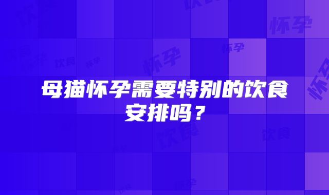 母猫怀孕需要特别的饮食安排吗?