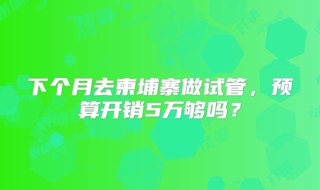 下个月去柬埔寨做试管,预算开销5万够吗?