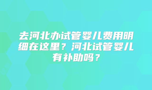 去河北办试管婴儿费用明细在这里?河北试管婴儿有补助吗?