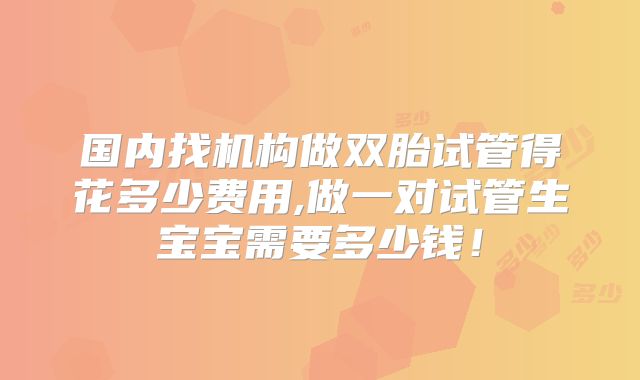 国内找机构做双胎试管得花多少费用,做一对试管生宝宝需要多少钱！