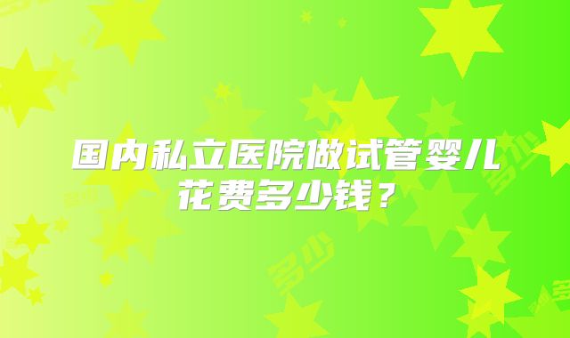 国内私立医院做试管婴儿花费多少钱？