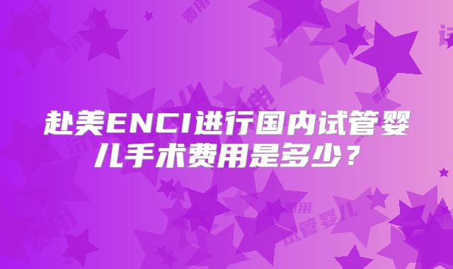 赴美ENCI进行国内试管婴儿手术费用是多少?
