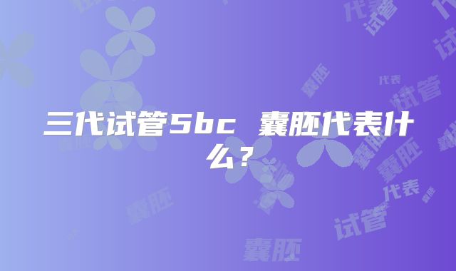 三代试管5bc 囊胚代表什么?