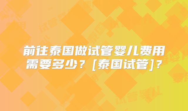前往泰国做试管婴儿费用需要多少？[泰国试管]？