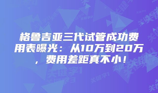 格鲁吉亚三代试管成功费用表曝光:从10万到20万,费用差距真不小!