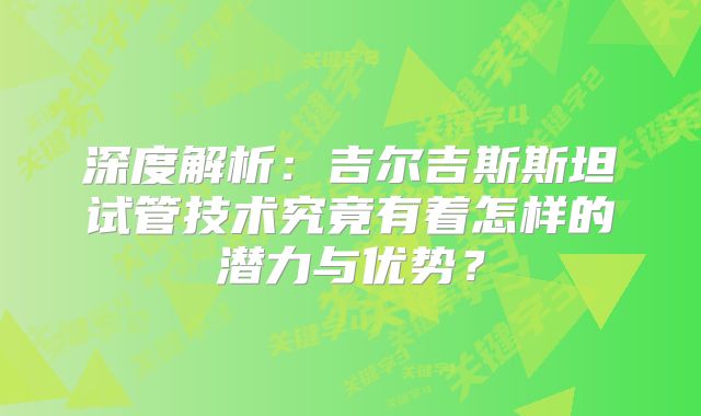 深度解析：吉尔吉斯斯坦试管技术究竟有着怎样的潜力与优势？