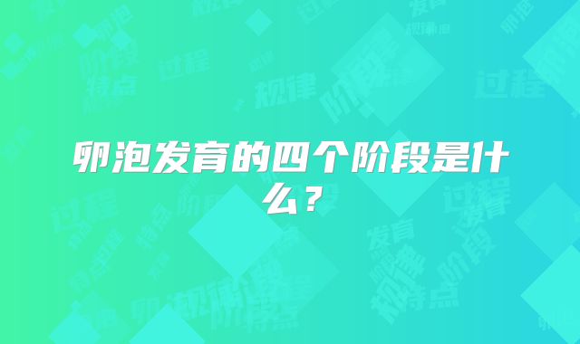 卵泡发育的四个阶段是什么？