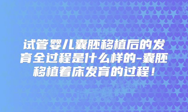 试管婴儿囊胚移植后的发育全过程是什么样的-囊胚移植着床发育的过程！
