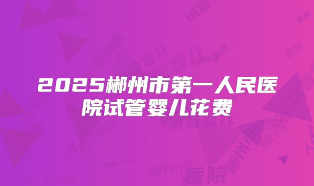 2025郴州市第一人民医院试管婴儿花费
