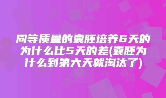 同等质量的囊胚培养6天的为什么比5天的差(囊胚为什么到第六天就淘汰了)
