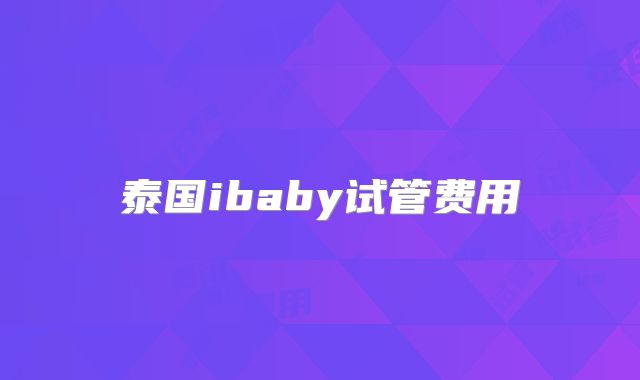 泰国ibaby试管费用